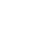 yang